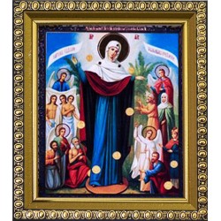 Всех Скорбящих Радость Б....